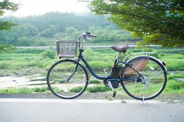 長距離自転車 長距離徒歩の記憶 ひめとおやじ日記 育児支援サポート 育サポ